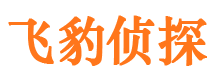 平桥市场调查